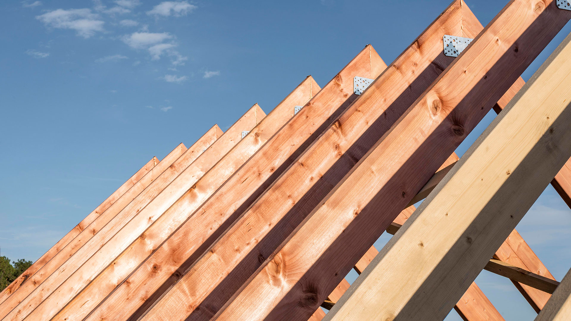 Whether you need construction, renovation, maintenance, or project management, our experienced team delivers reliable and efficient solutions tailored to your needs.